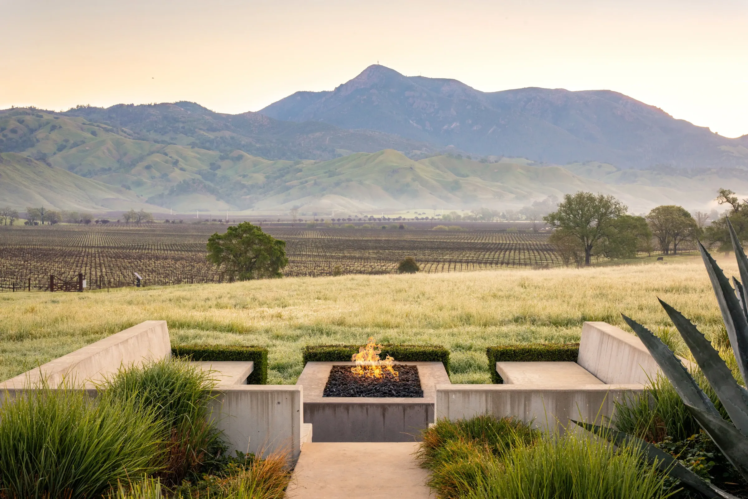 Sonoma Valley landscape