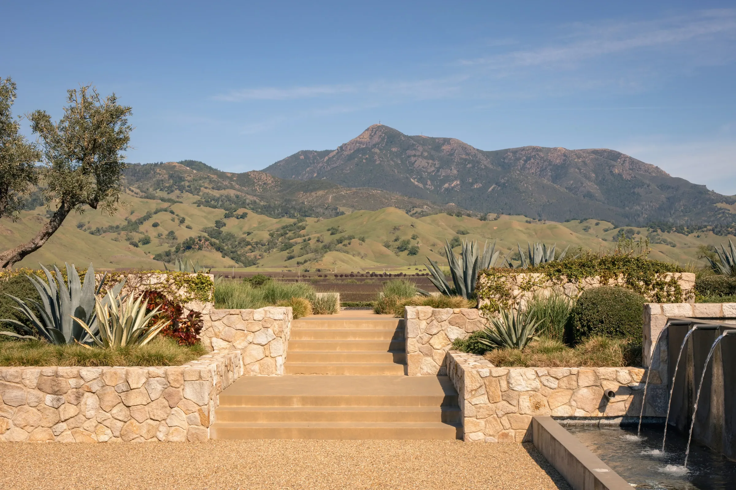 Luxury home in Sonoma Valley