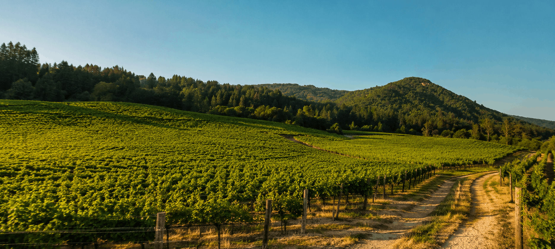 Napa & Sonoma Valley Neighborhoods